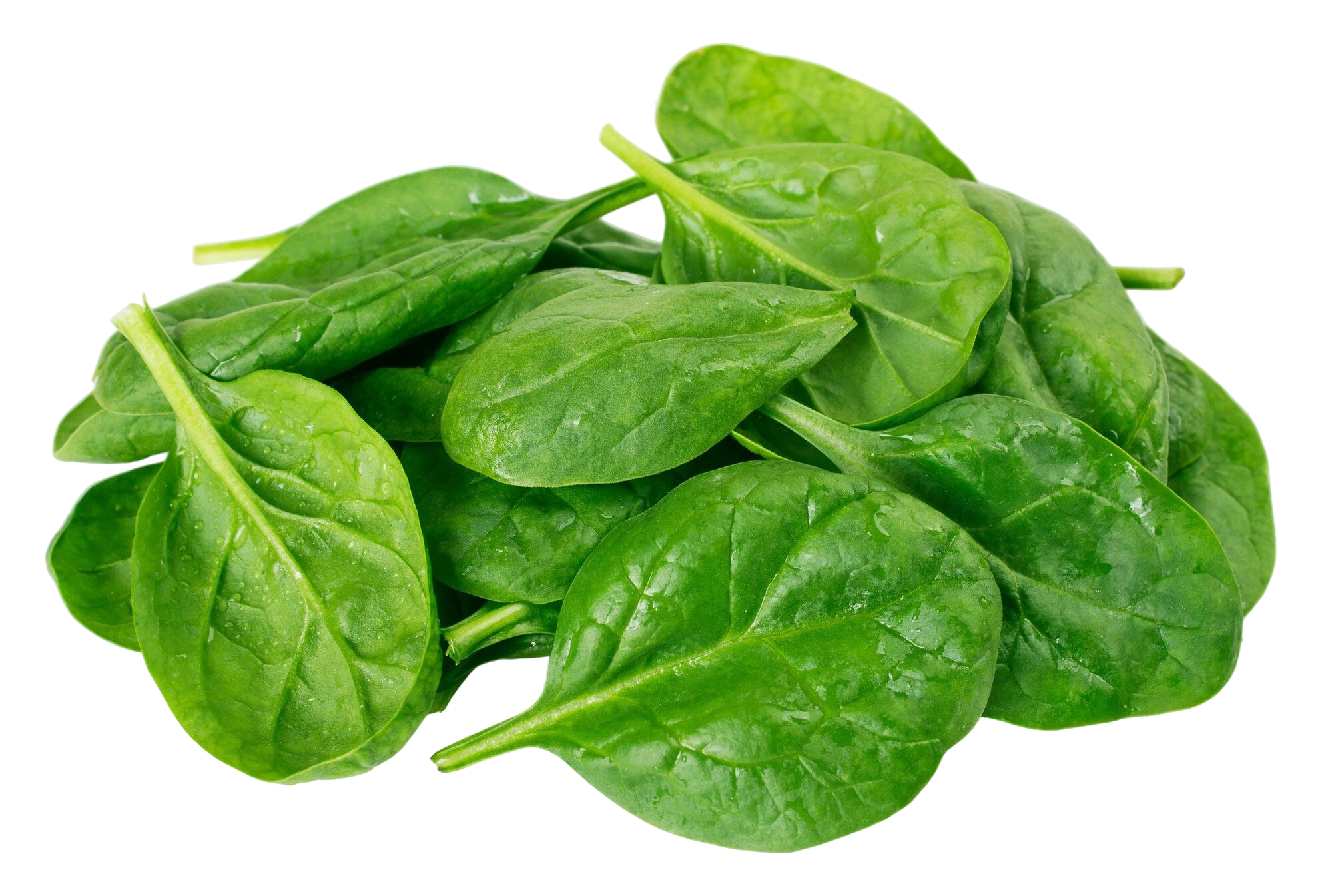 Špinača